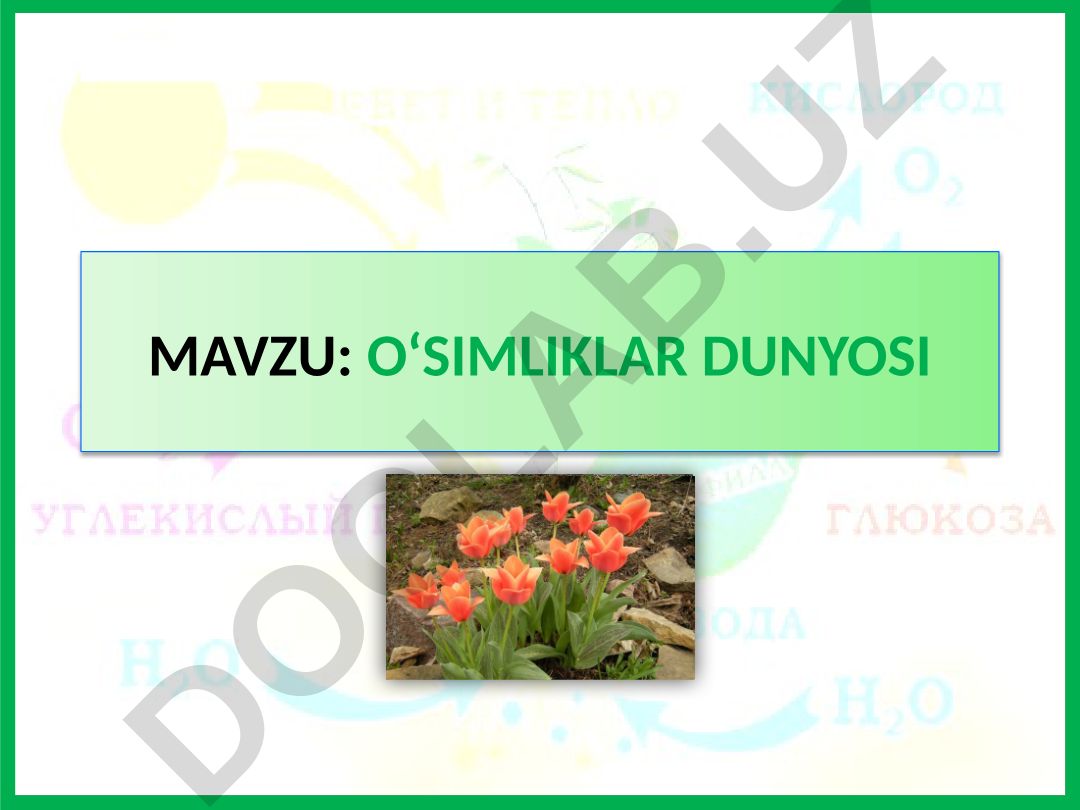 O‘SIMLIKLAR DUNYOSI