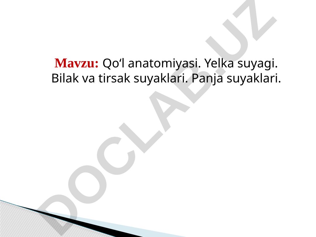 Qo‘l anatomiyasi. Yelka suyagi. Bilak va tirsak suyaklari. Panja suyaklari