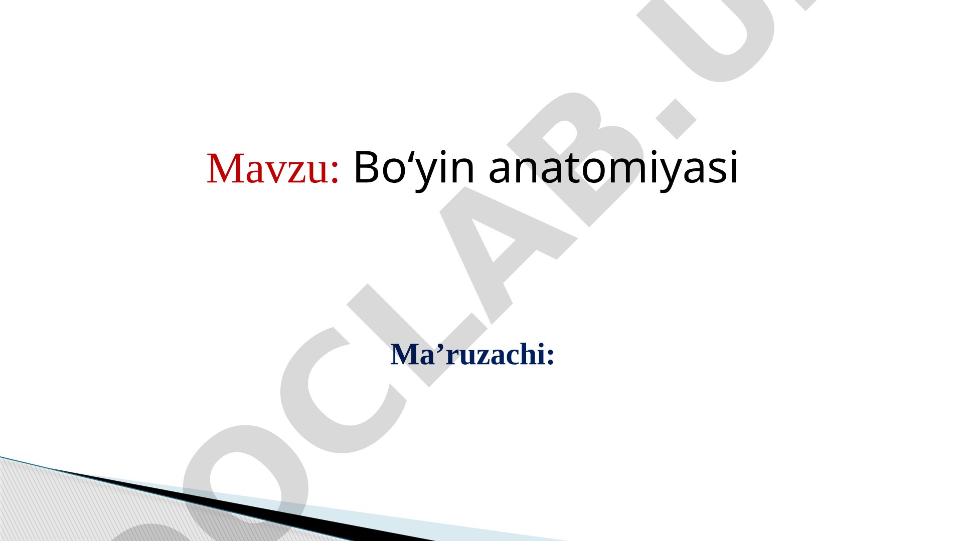 Bo‘yin anatomiyasi