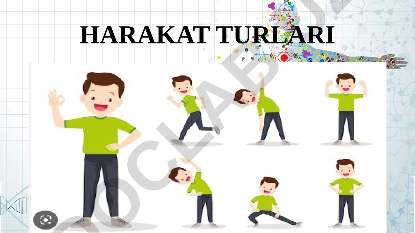 Harakat turlari: to'g'ri chiziqli, aylanma va tebranma harakatlar