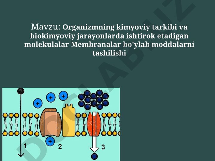 Organizmning kimyoviy tarkibi va biokimyoviy jarayonlarda ishtirok etadigan molekulalar