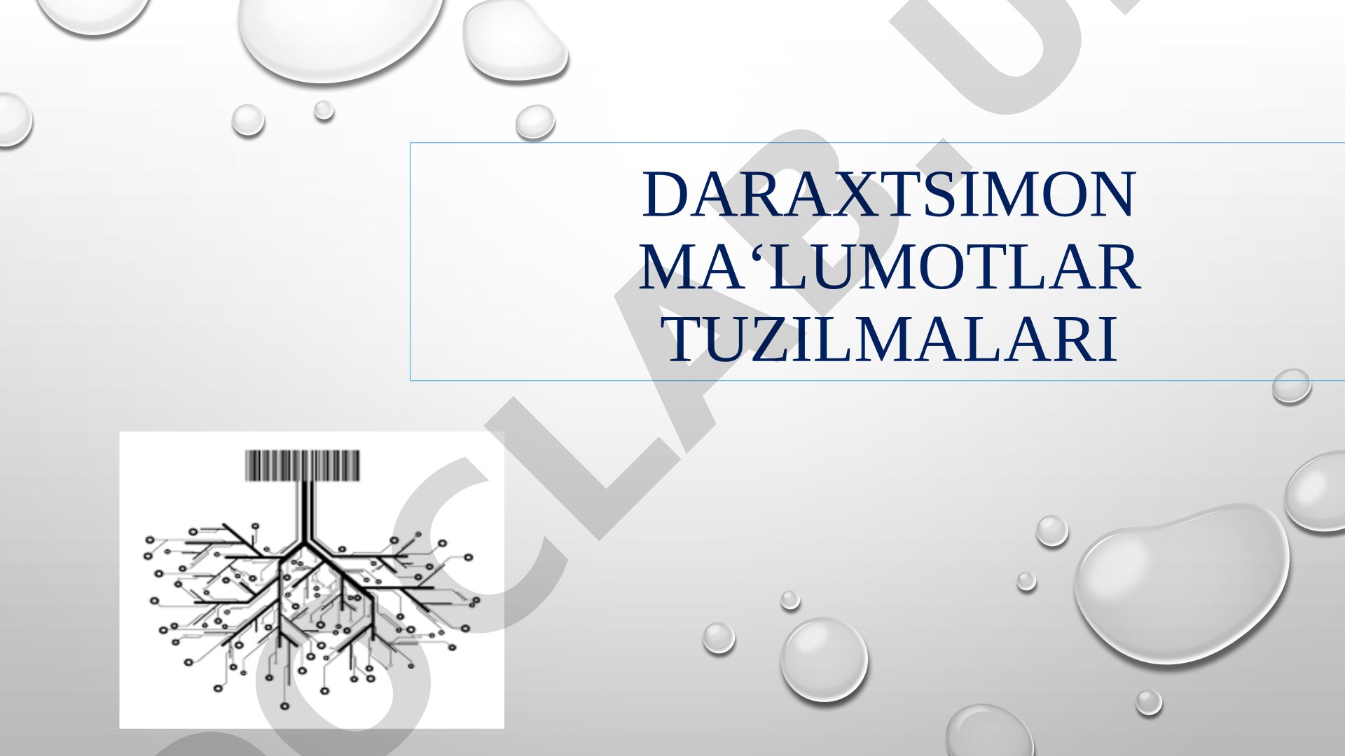 Daraxtsimon maʻlumotlar tuzilmalari