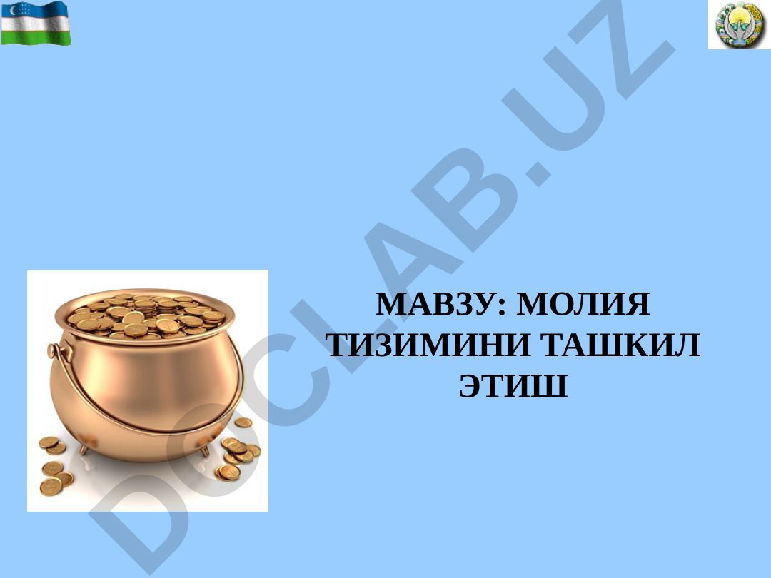 Молия тизимини ташкил этиш