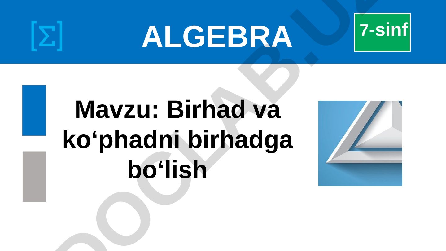 Birhad va ko‘phadni birhadga bo‘lish