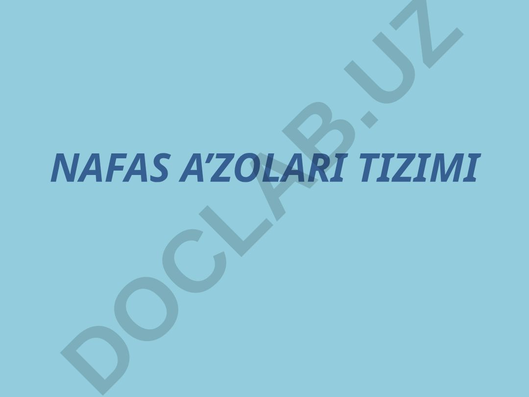 Nafas a'zolari tizimi
