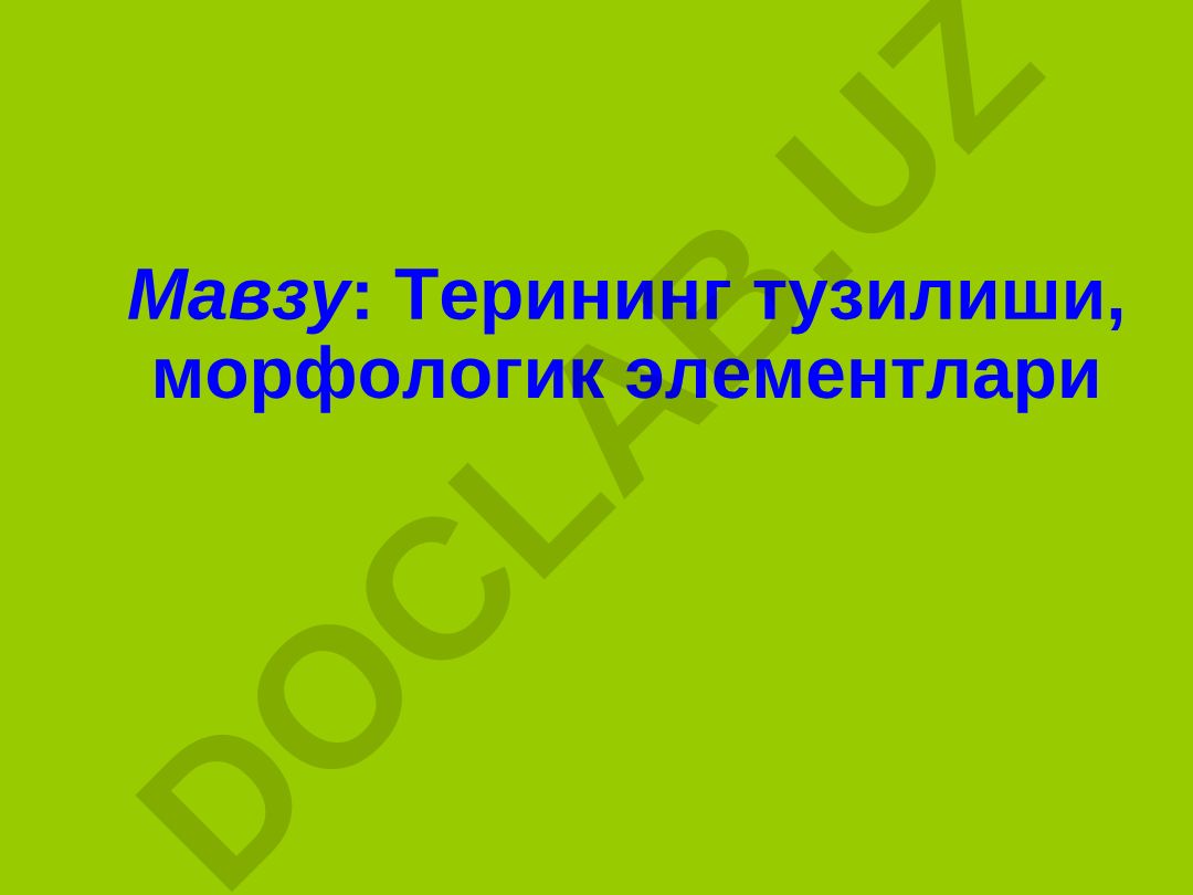 Терининг тузилиши, морфологик элементлари ва микоз касалликлари