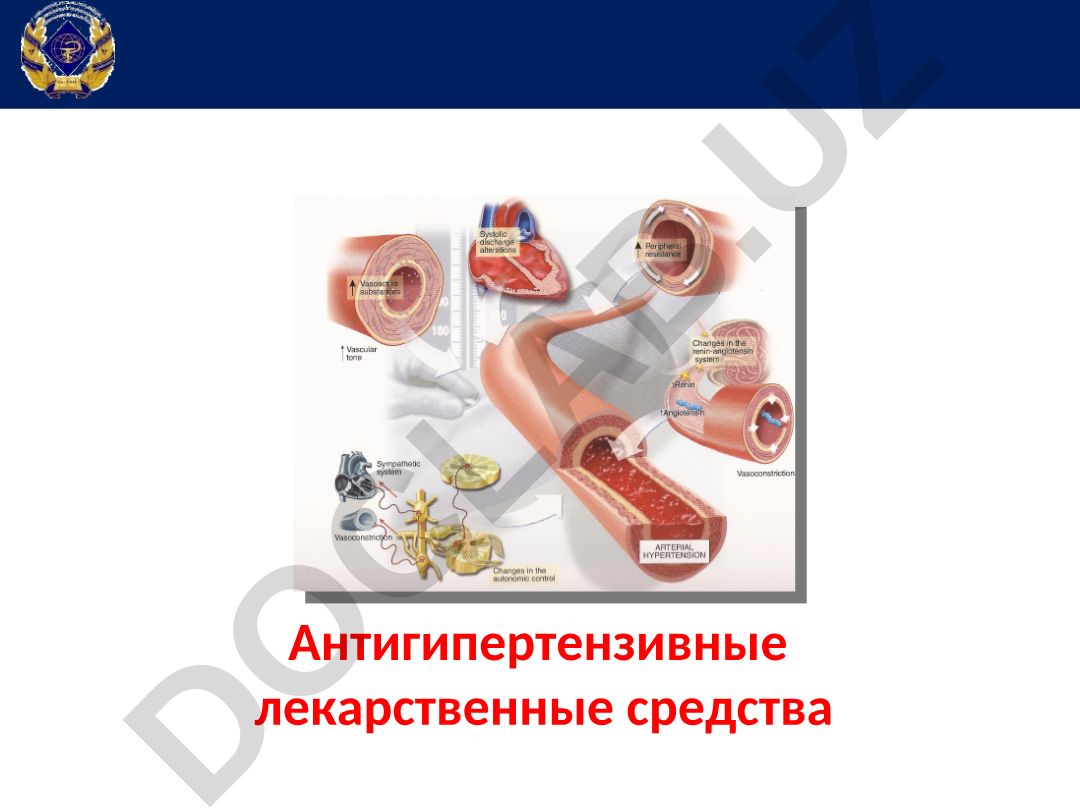 Антигипертензивные лекарственные средства