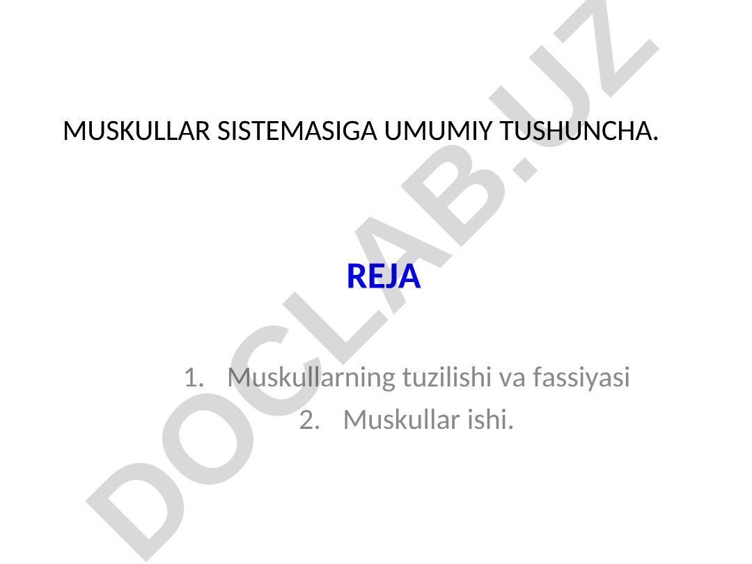 Muskullar sistemasiga umumiy tushuncha