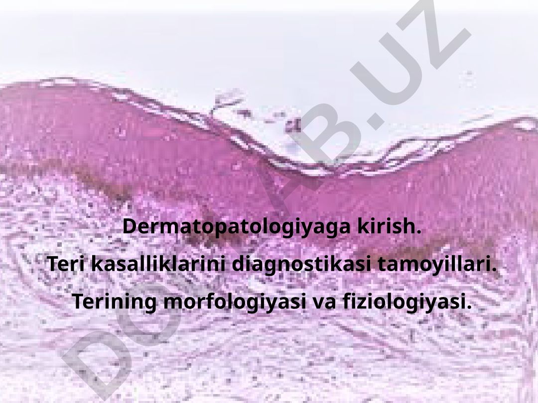 Dermatopatologiyaga kirish va teri kasalliklarini diagnostikasi tamoyillari