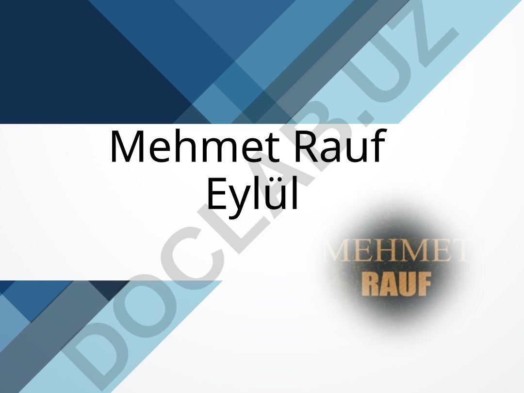 Mehmet Rauf'un Hayatı, Yazı Hayatı ve Eylül Romanı