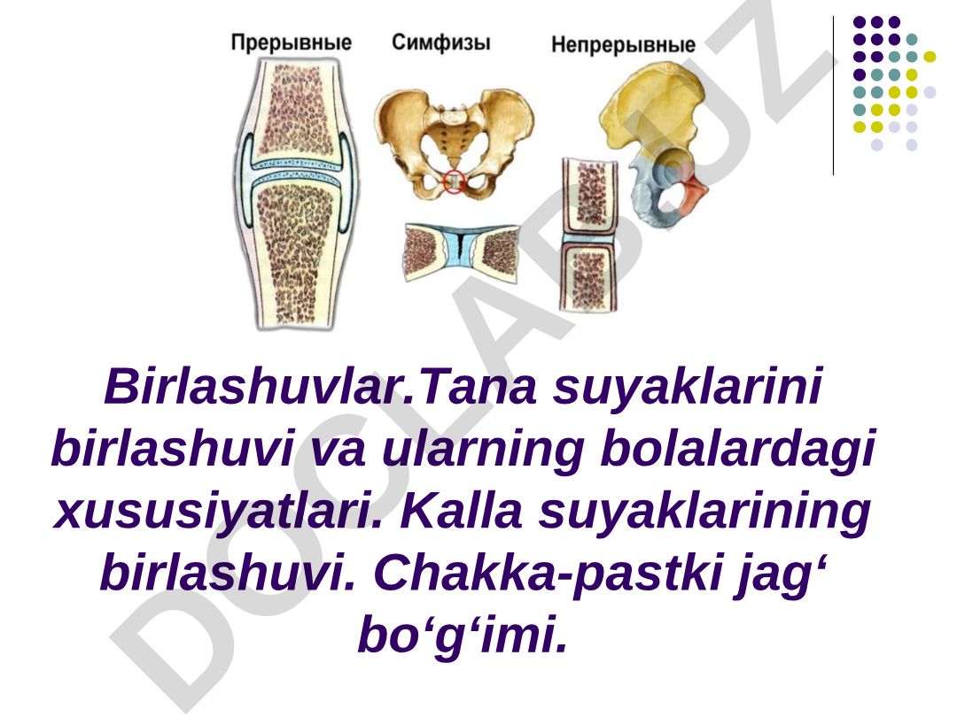 Birlashuvlar. Tana suyaklarini birlashuvi va ularning bolalardagi xususiyatlari