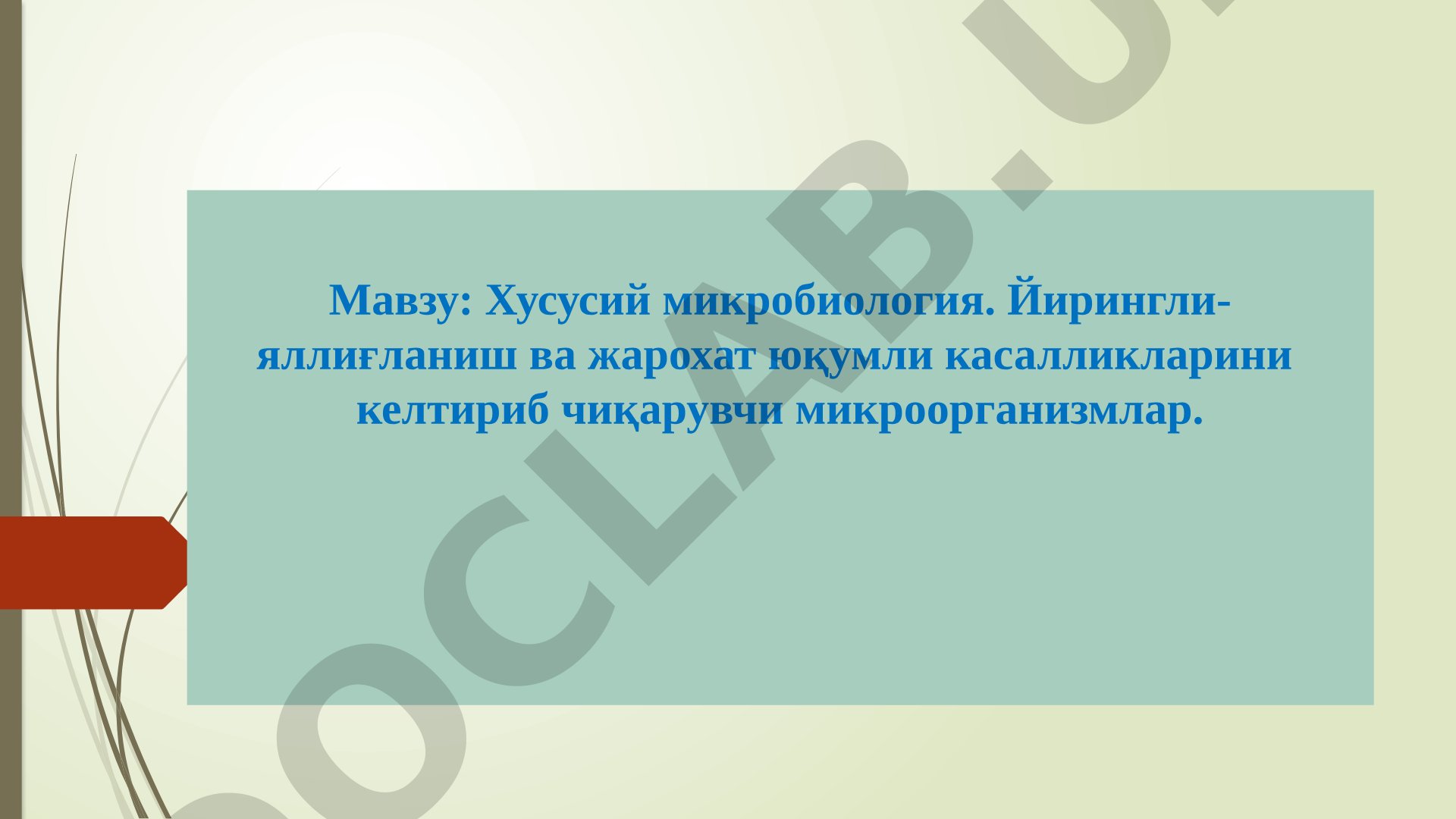 Хусусий микробиология. Йирингли-яллиғланиш ва жарохат юқумли касалликларини келтириб чиқарувчи микроорганизмлар