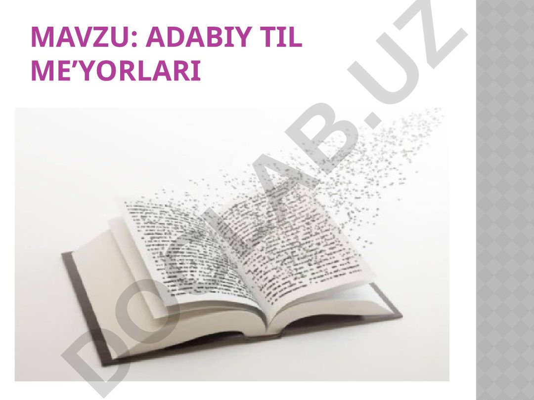 Adabiy til me’yorlari