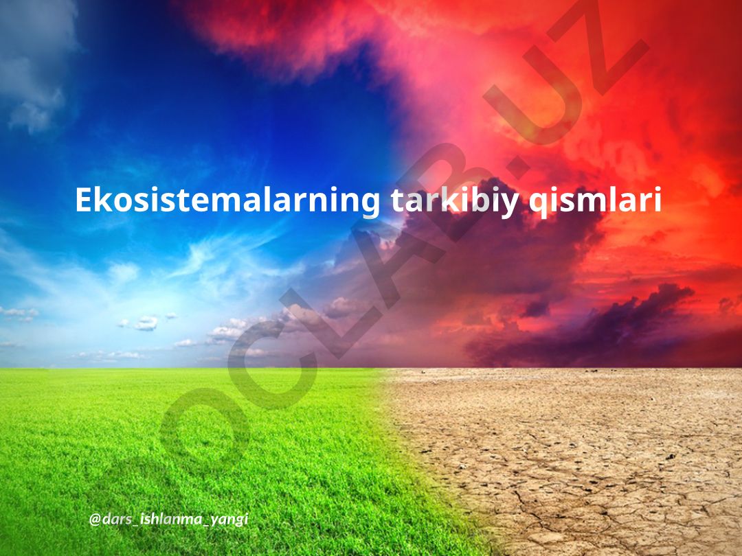 Ekosistemalarning tarkibiy qismlari