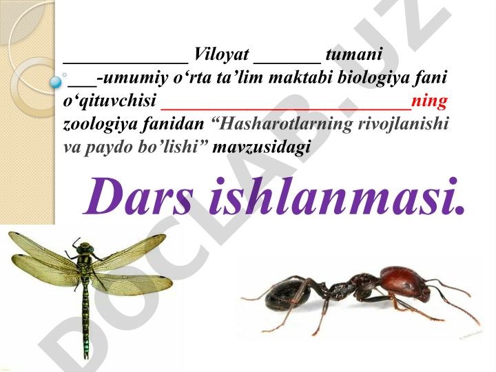 Hasharotlarning kelib chiqishi va ahamiyati