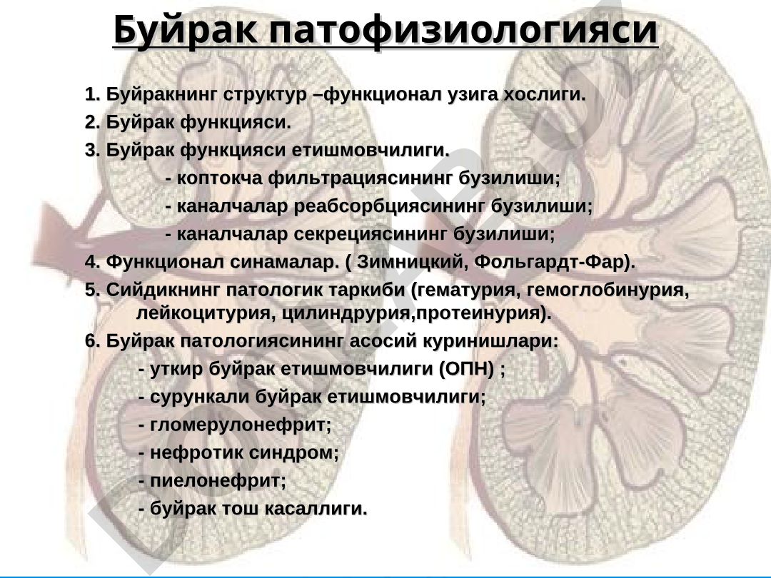 Буйрак патофизиологияси