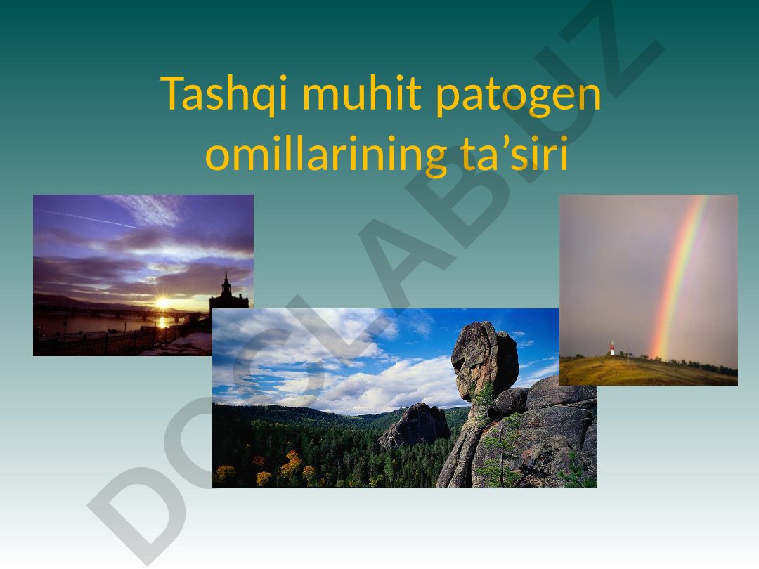 Tashqi muhit patogen omillarining ta'siri va balandlik kasalligi