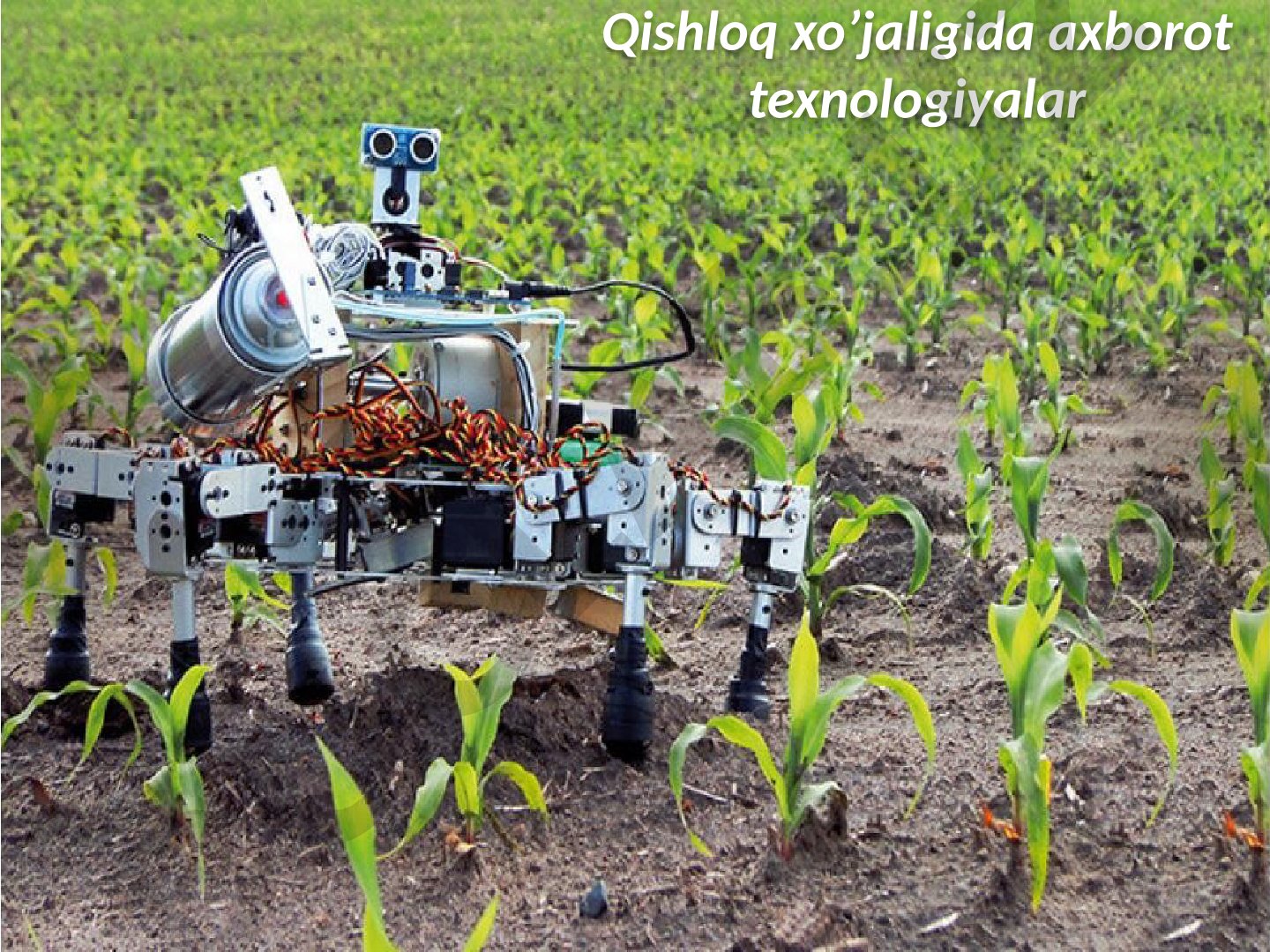 Qishloq xo'jaligida axborot texnologiyalari va aniq dehqonchilik