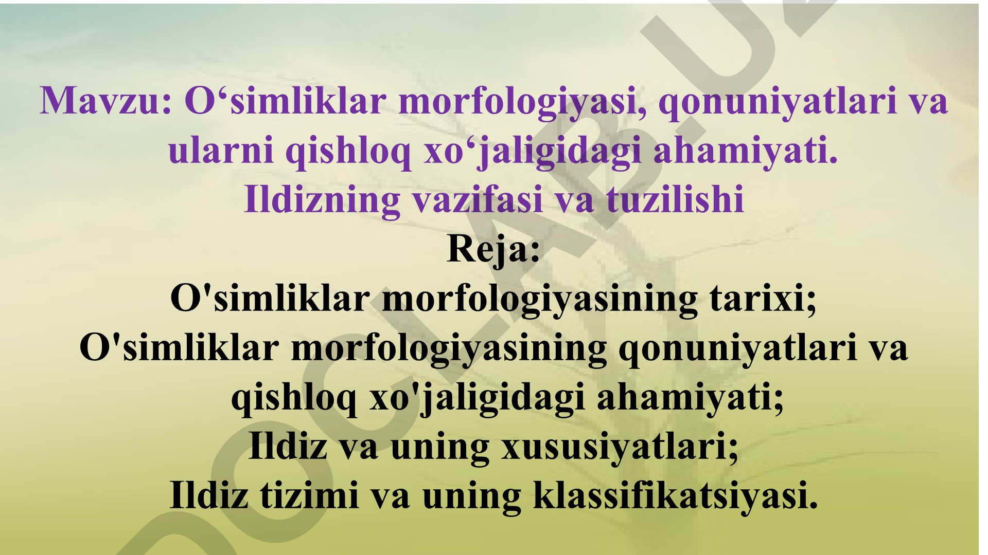 O‘simliklar morfologiyasi, qonuniyatlari va ularni qishloq xo‘jaligidagi ahamiyati