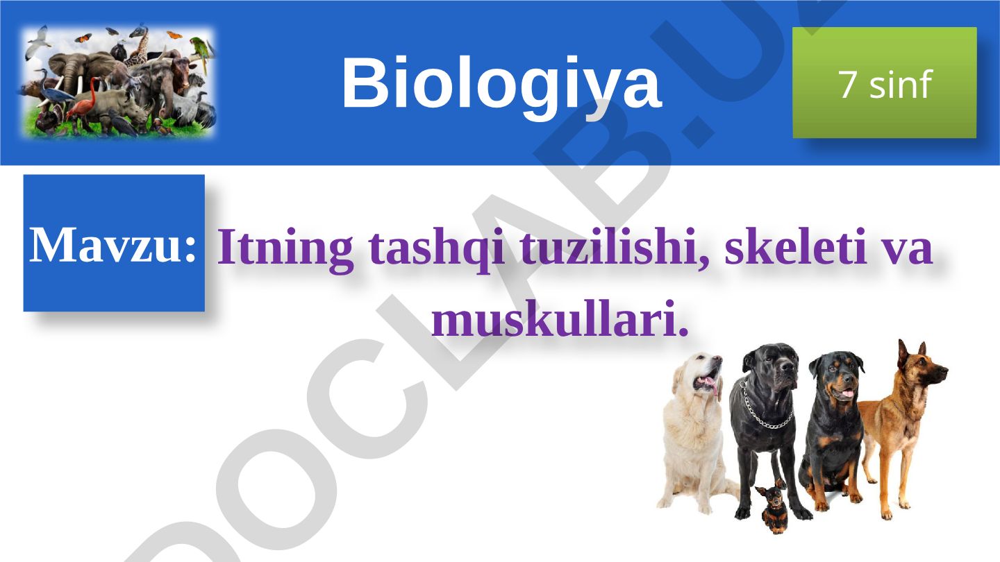 Itning tashqi tuzilishi, skeleti va muskullari