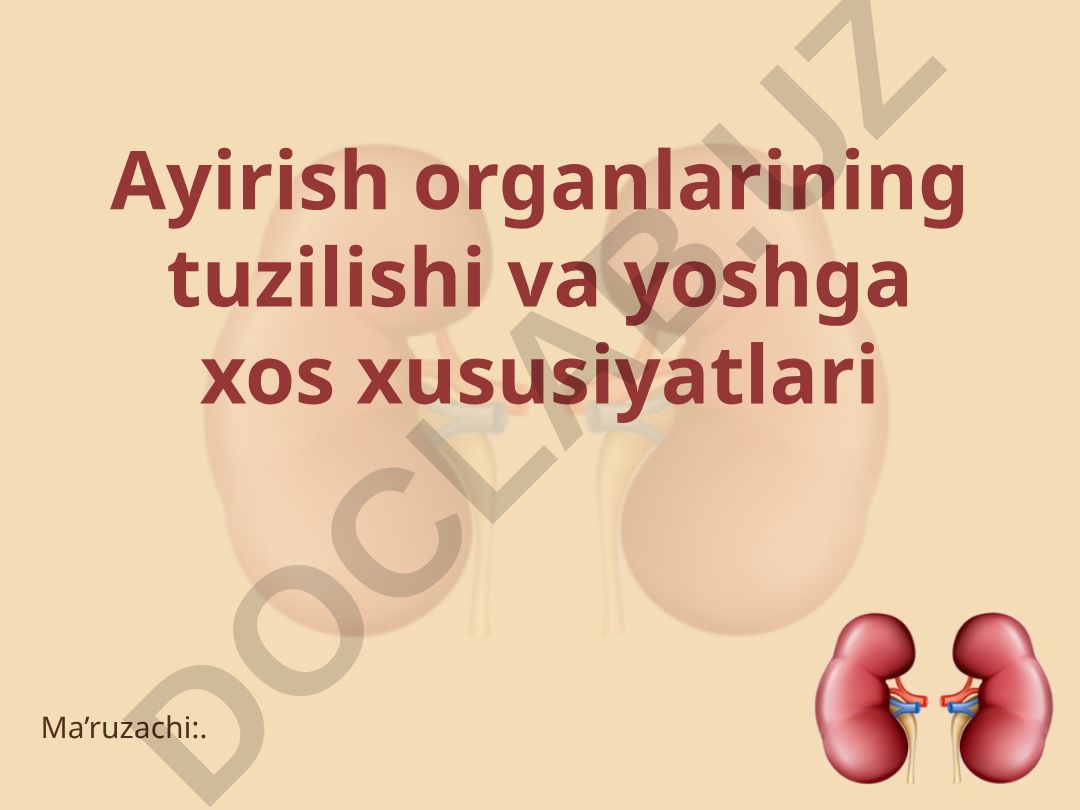 Ayirish organlarining tuzilishi va yoshga xos xususiyatlari