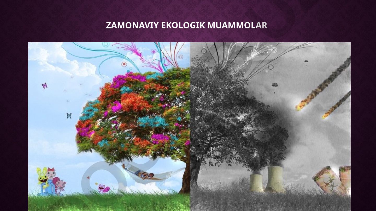 Zamonaviy ekologik muammolar va ularning tasnifi