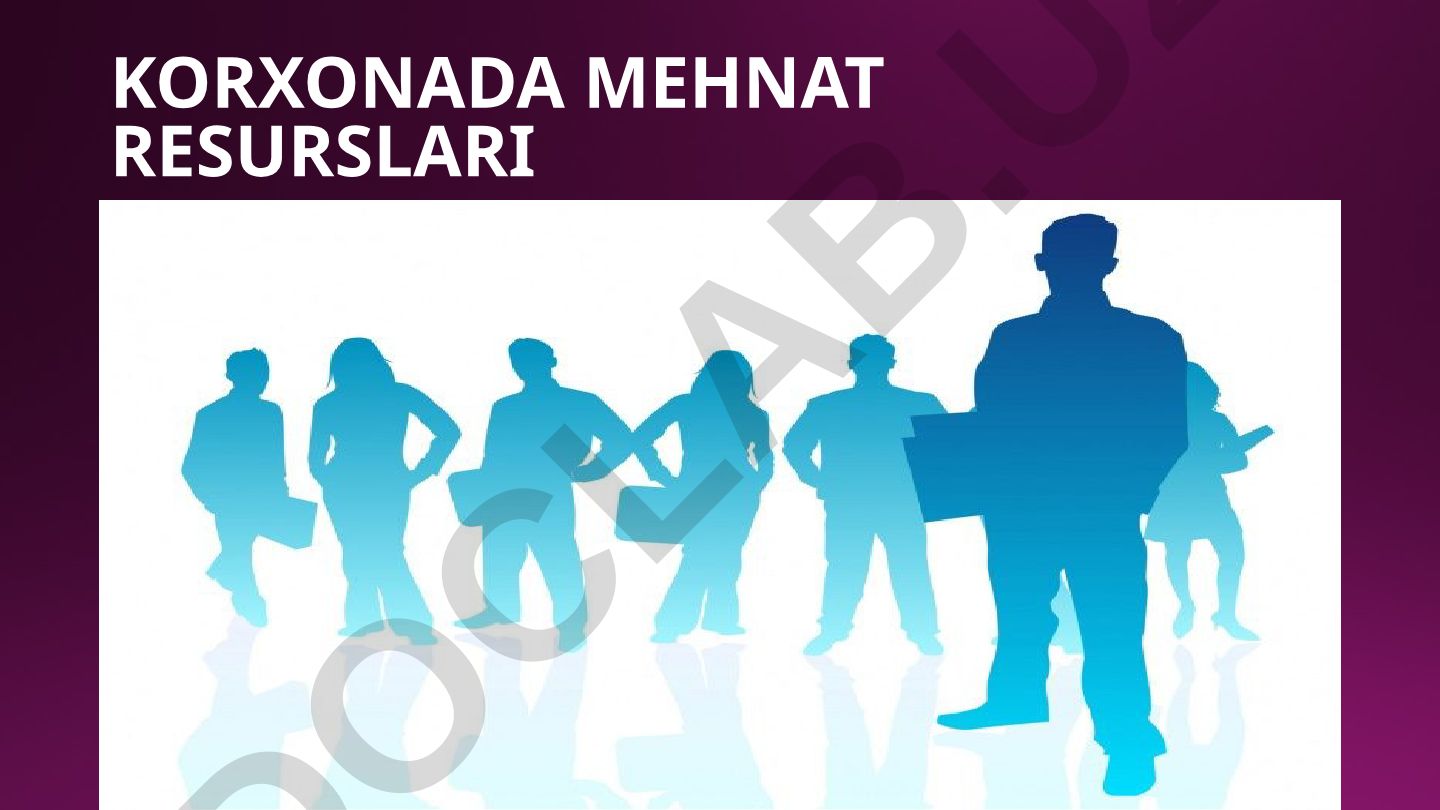 Korxonada mehnat resurslari va ish haqi tizimi