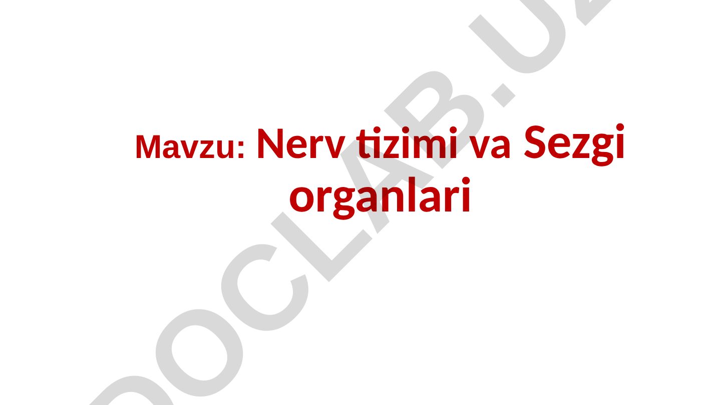 Nerv tizimi va Sezgi organlari