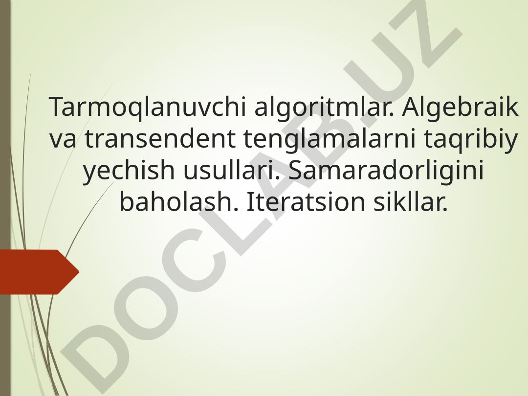 Tarmoqlanuvchi algoritmlar va algebraik tenglamalarni taqribiy yechish usullari