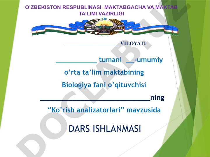 Ko'rish analizatorlari