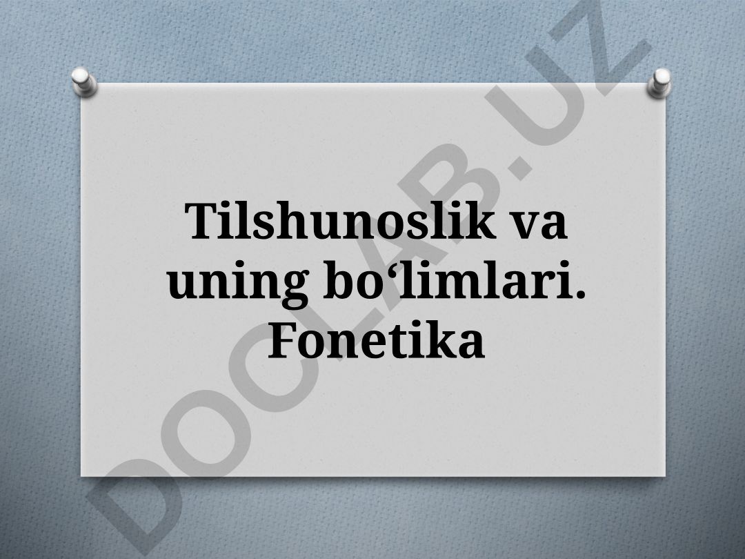 Tilshunoslik va uning bo‘limlari