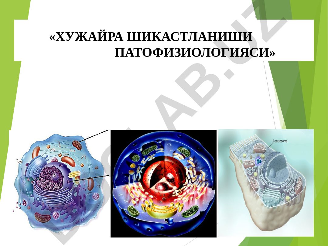 Хужайра шикастланиши патофизиологияси