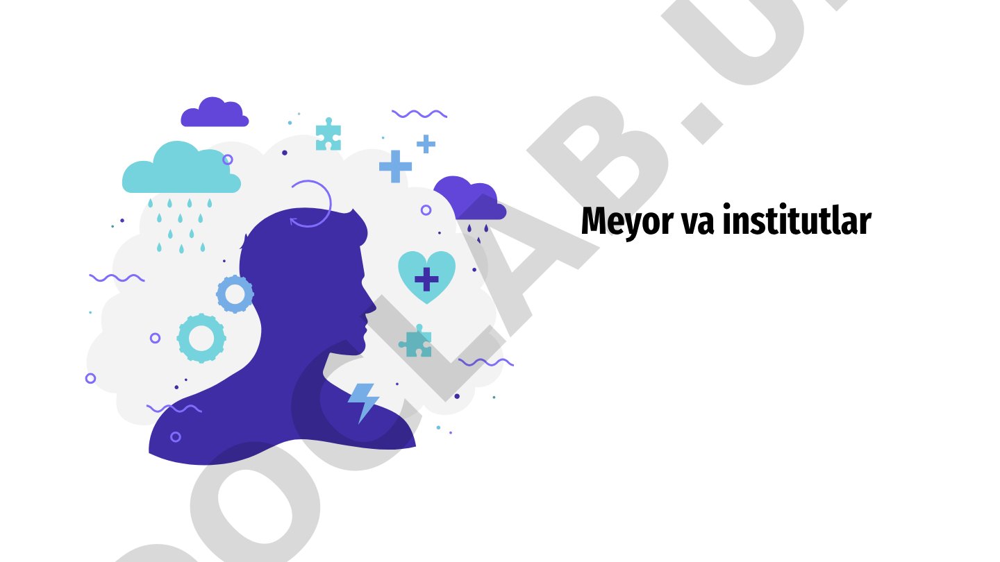 Meyor va institutlar