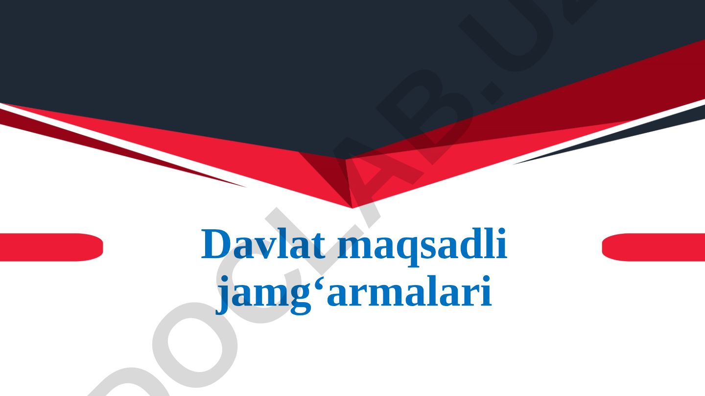 Davlat maqsadli jamg'armalari va byudjetdan tashqari jamg'armalar