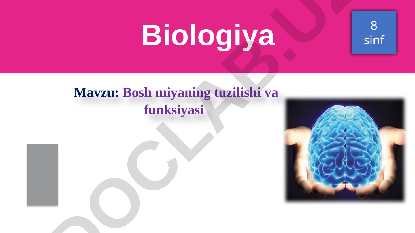 Bosh miyaning tuzilishi va funksiyasi