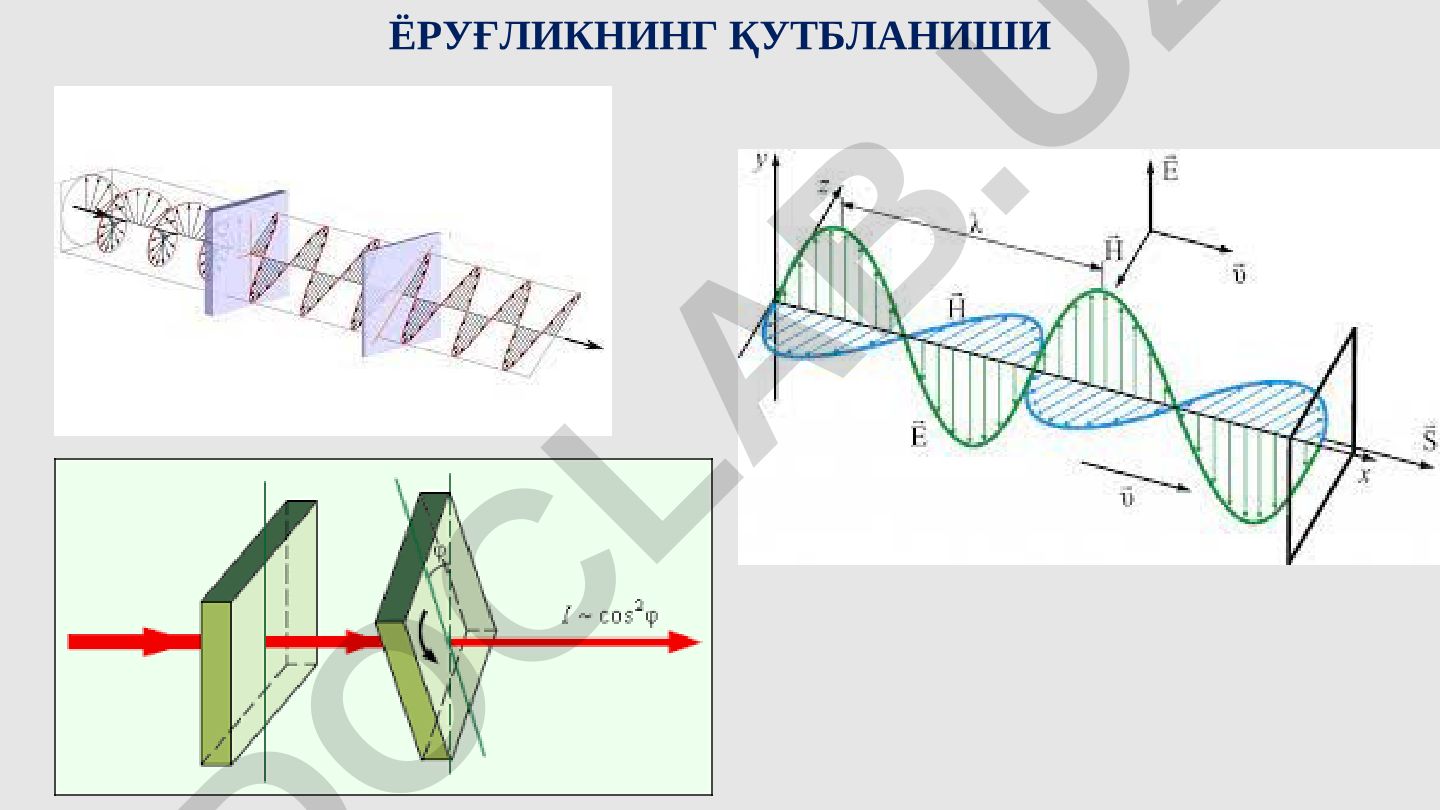 Ёруғликнинг қутбланиши