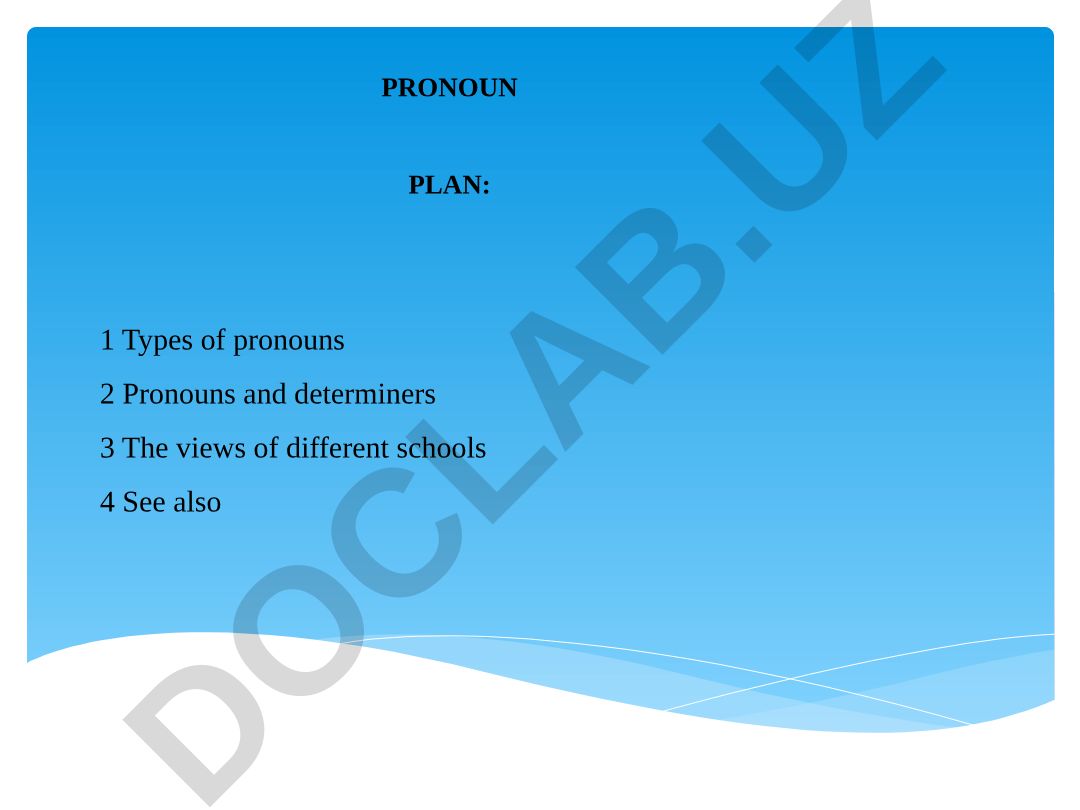 Pronoun types and usage in linguistics