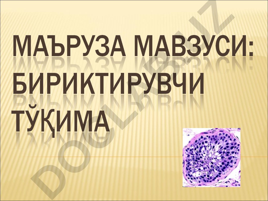 Ички муҳит тўқималари классификацияси ва хусусиятлари