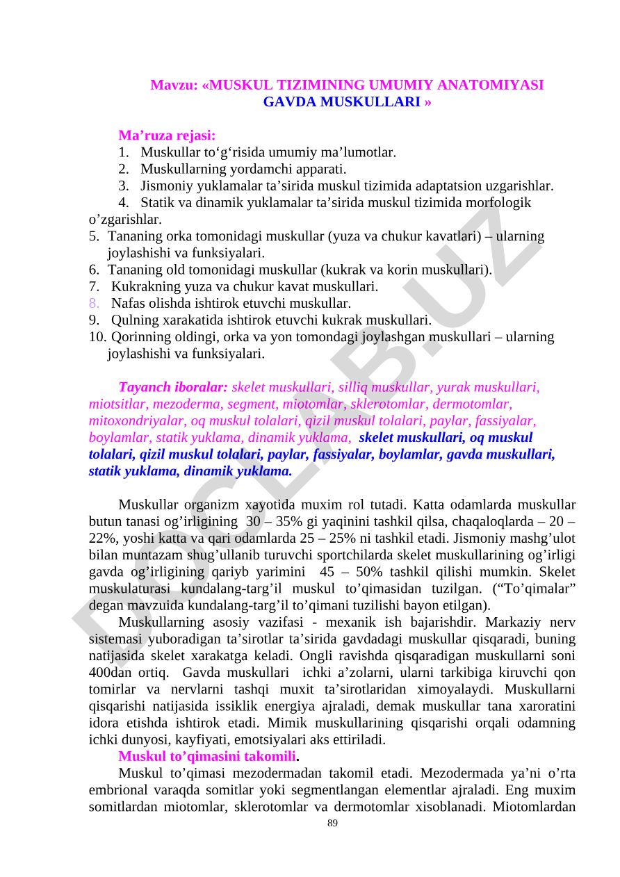 Muskul tizimining umumiy anatomiyasi gavda muskullari