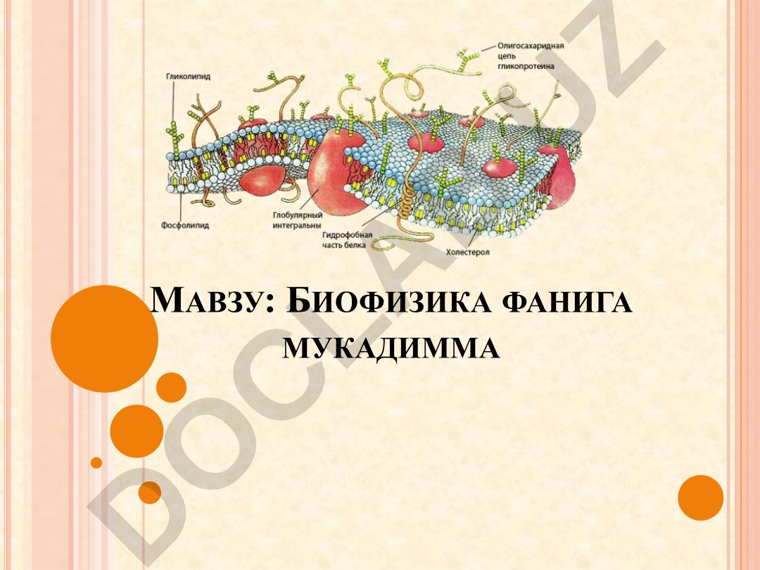БИОФИЗИКА ФАНИГА МУКАДИММА