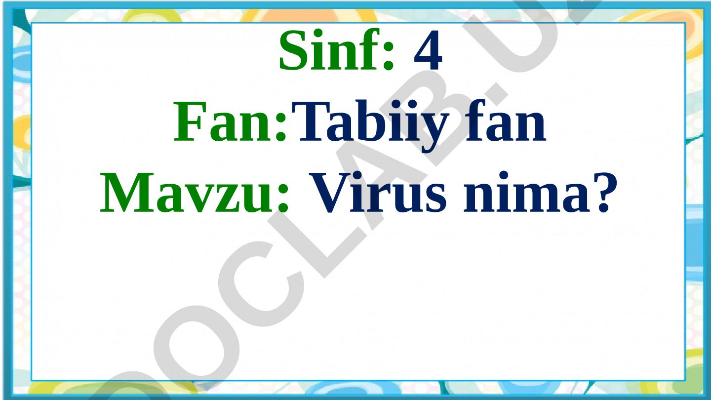 Virus nima?