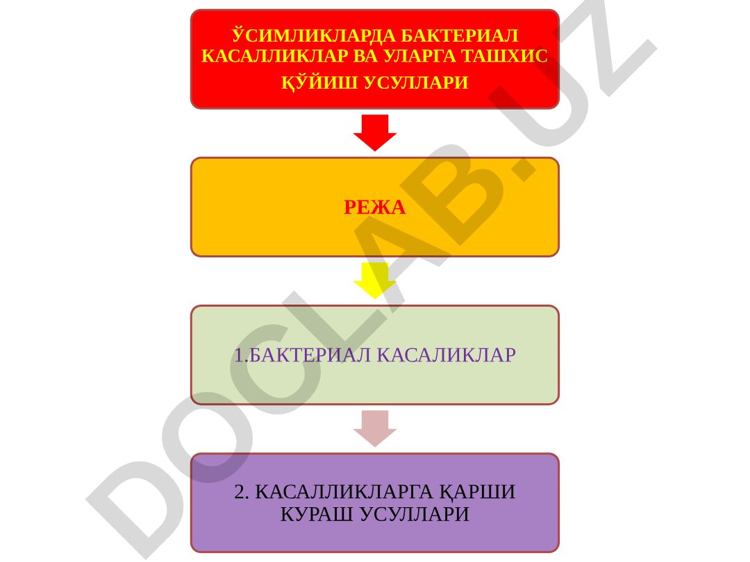 Ўсимликларда бактериал касалликлар ва уларга ташхис қўйиш усуллари