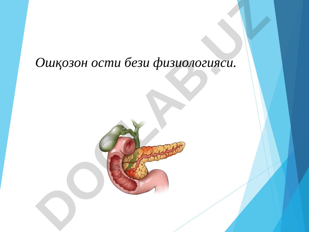 Ошқозон ости бези физиологияси