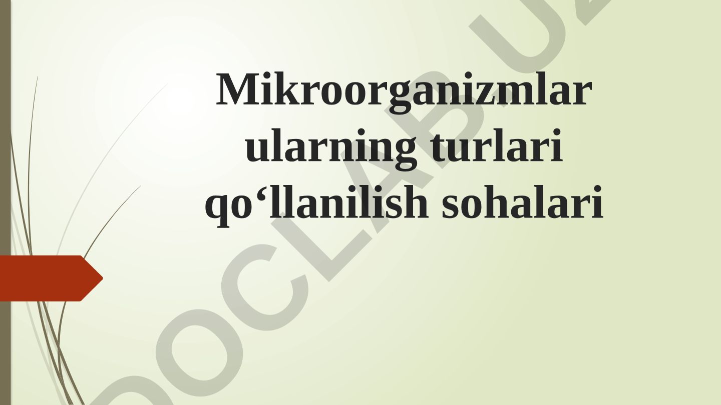 Mikroorganizmlar, ularning turlari va qo‘llanilish sohalari