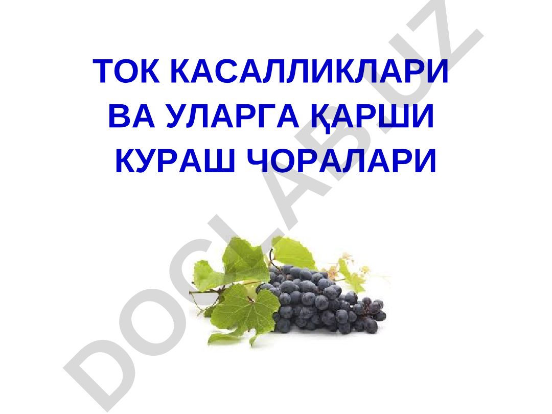 Ток касалликлари ва уларга қарши кураш чоралари