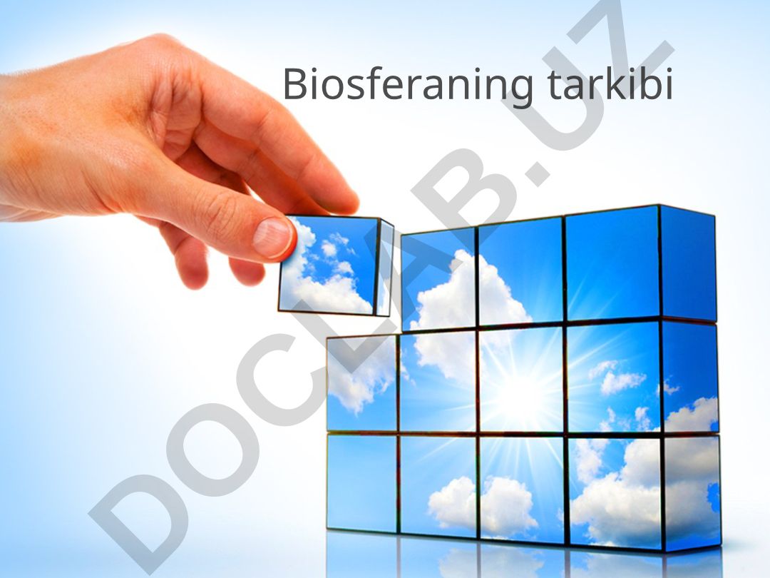Biosferaning tarkibi va tirik modda