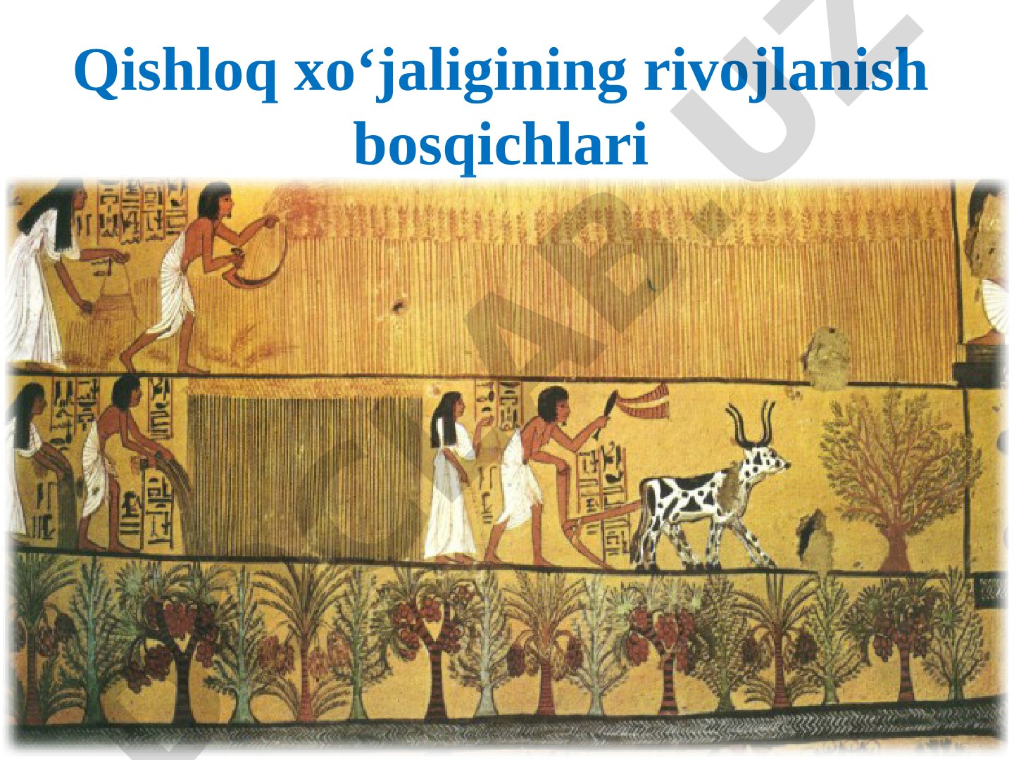 Qishloq xo'jaligining rivojlanish bosqichlari
