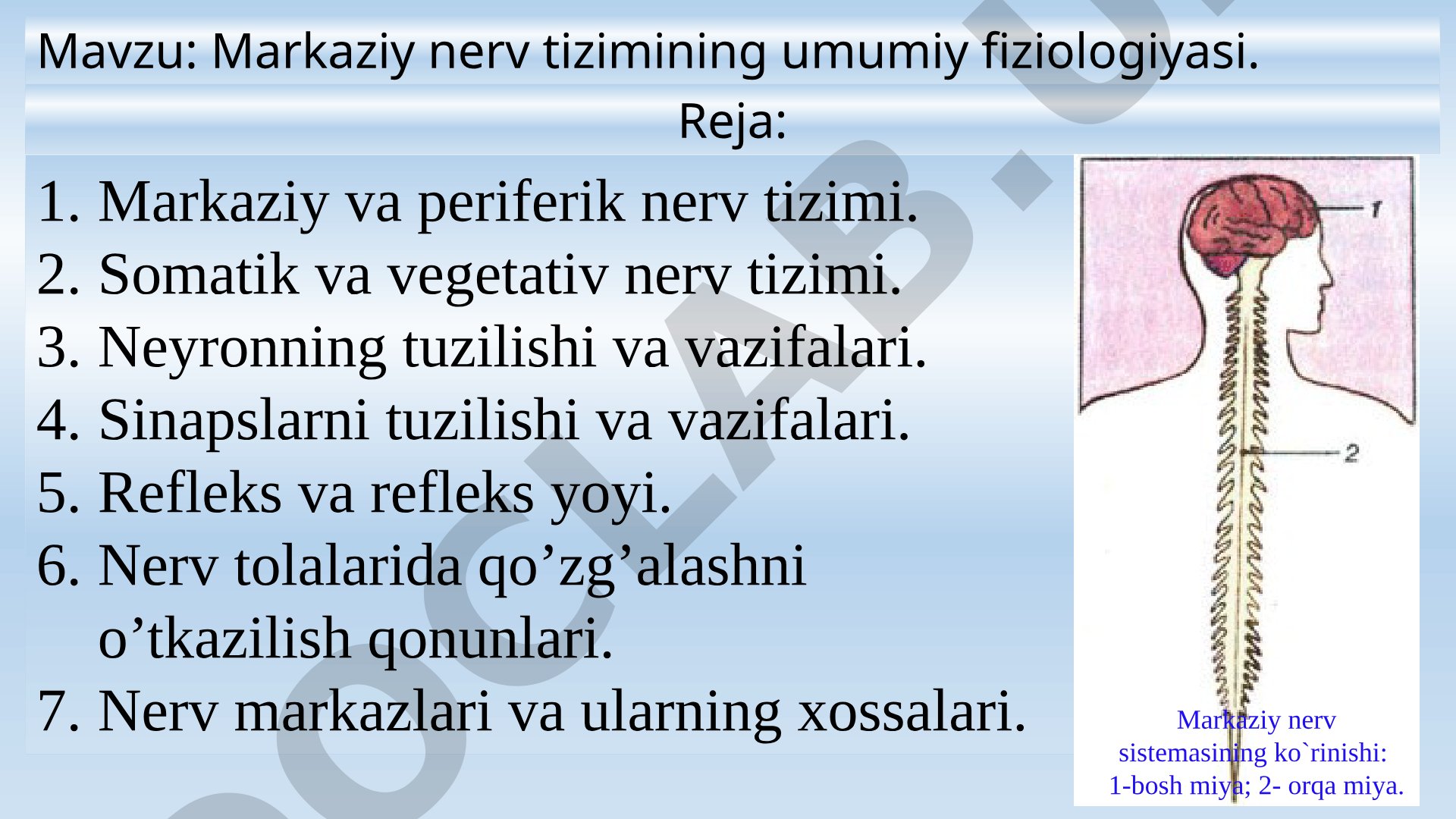 Markaziy nerv tizimining umumiy fiziologiyasi. Markaziy va periferik nerv tizimi. Somatik va vegetativ nerv tizimi. Neyronning tuzilishi va vazifalari. Sinapslarni tuzilishi va vazifalari. Refleks va refleks yoyi. Nerv tolalarida qo’zg’alashni o’tkazilish qonunlari. Nerv markazlari va ularning xossalari.