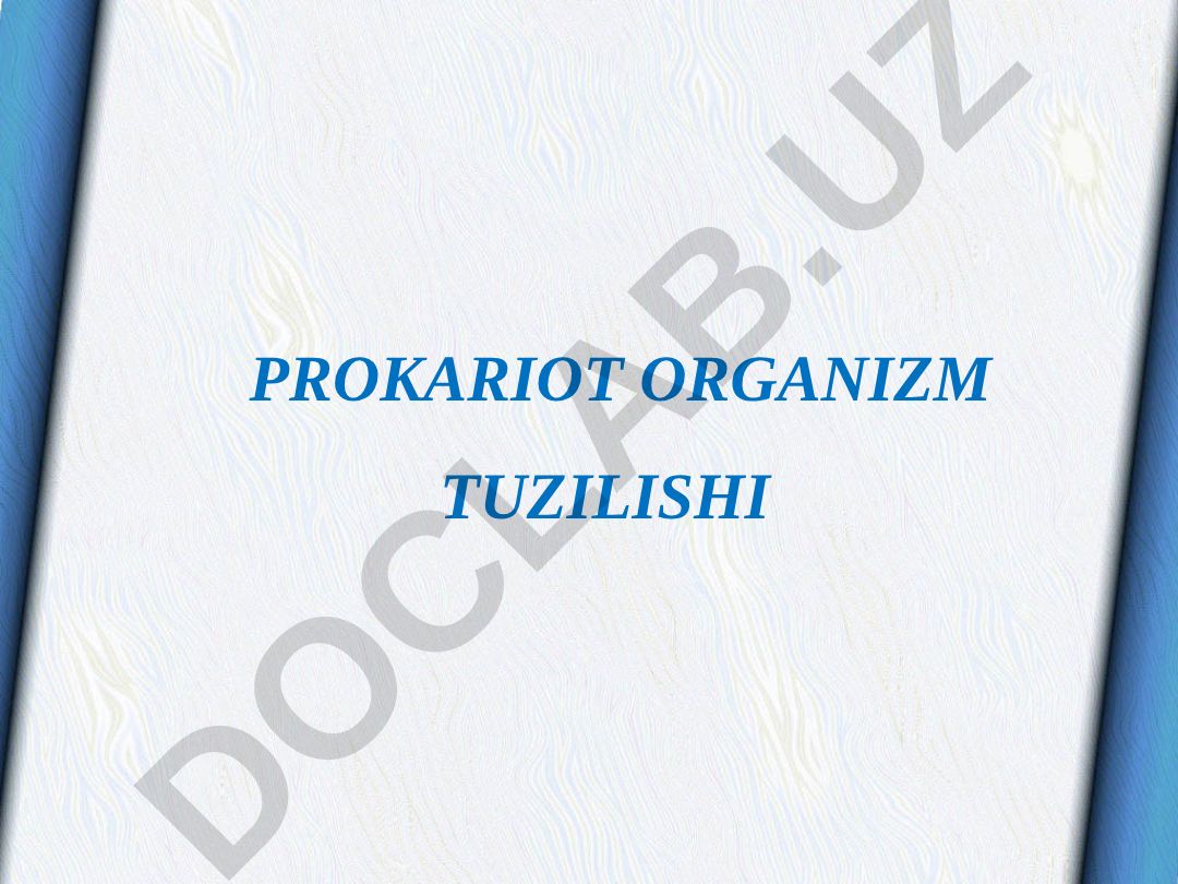 Prokariot organizm tuzilishi va mikroorganizmlar