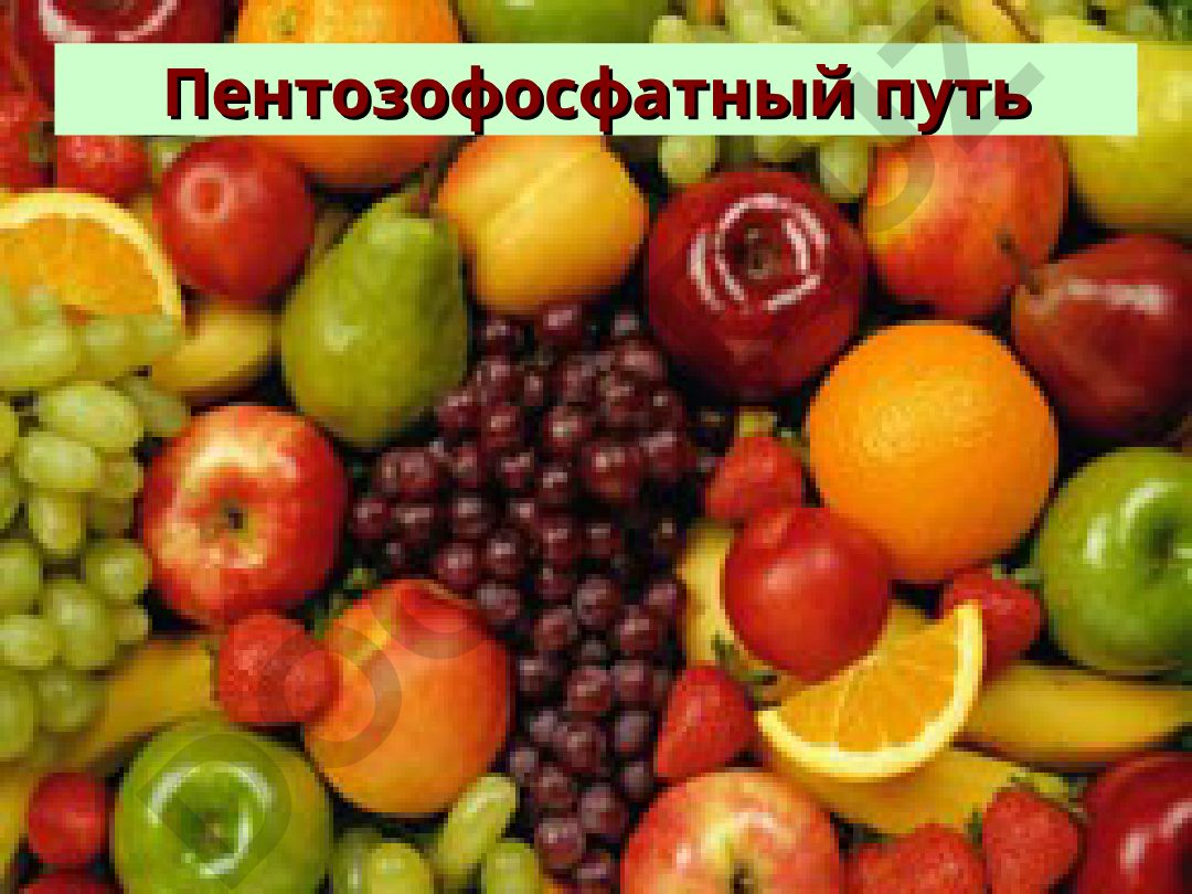 Пентозофосфатный путь: синтез НАДФН и рибозо-5-фосфата